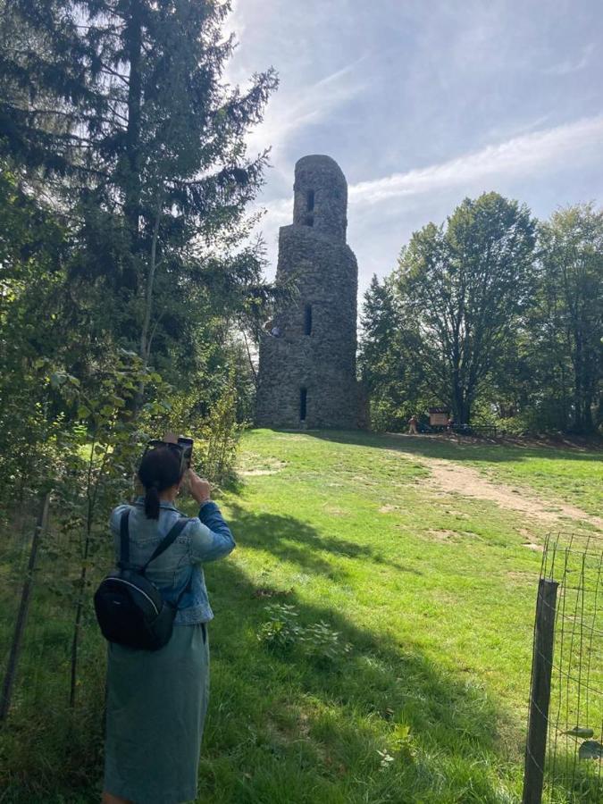 Hostinec U Pejska A Kocicky Mariánské Lázně Eksteriør bilde